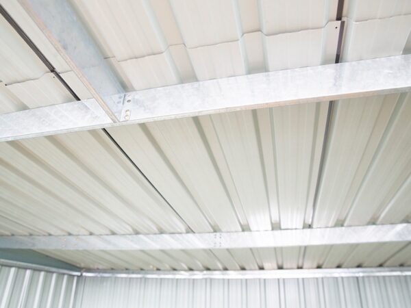 The roof support inside the shed. iT IS TWO LARGE, HORIZONTAL BARS.