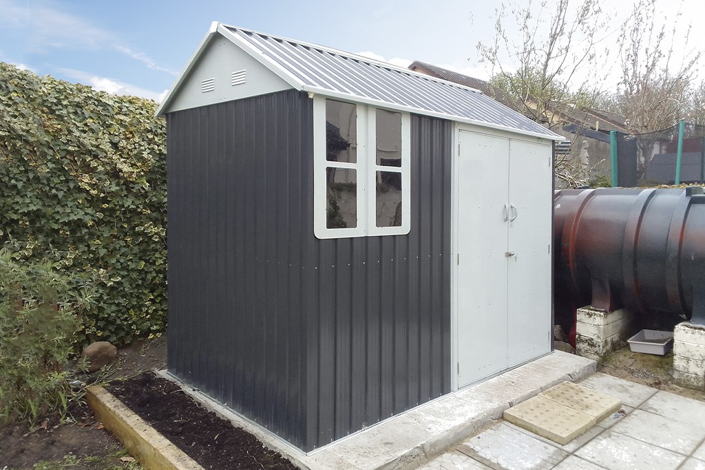 8ft x 6ft Steel Cottage shed with an ivy wall behind it