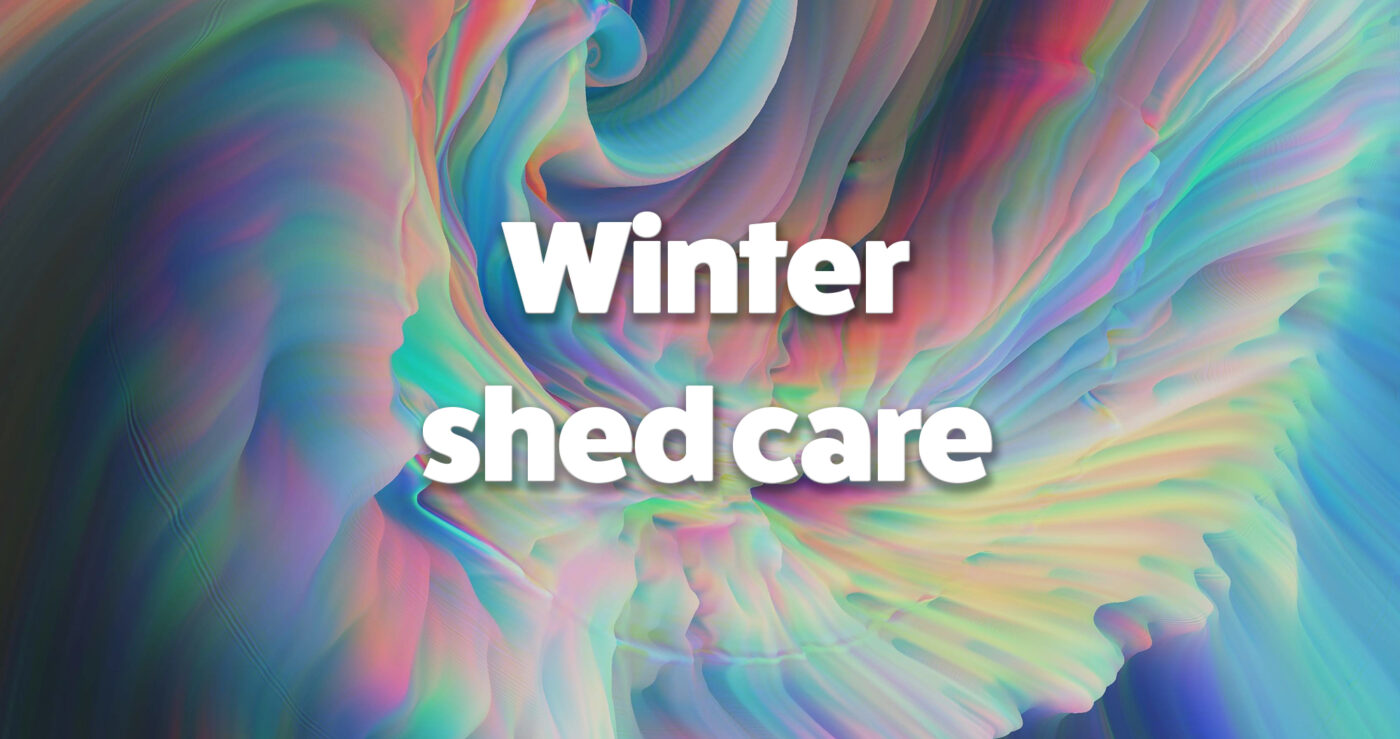 Winter Shed Care