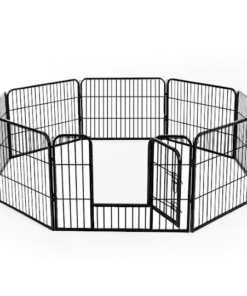 A studio shot of the dog pen in the octagonal formation