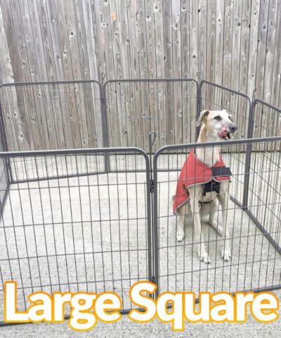 A large blonde lurcher dog sitting in a dog pen which is in the large square Formation