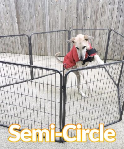 The dog pen in the semi-circle formation. A dog in a red jacket is inside.