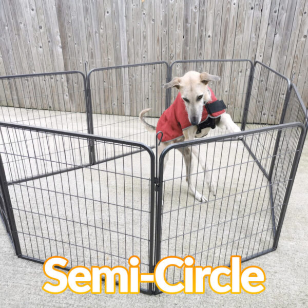The dog pen in the semi-circle formation. A dog in a red jacket is inside.