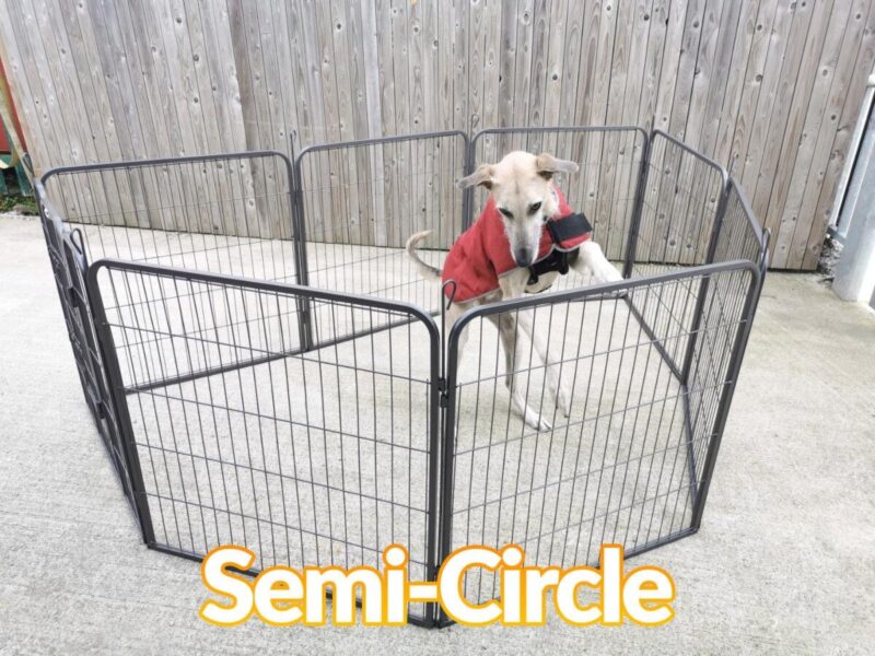 The dog pen in the semi-circle formation. A dog in a red jacket is inside.