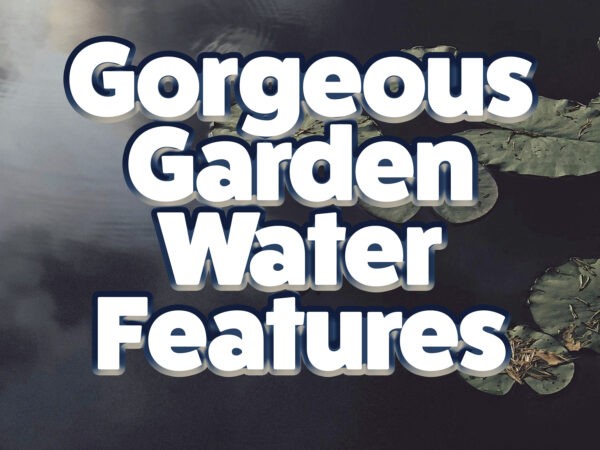A picture of water lilies on a dark pond which is reflecting the clouds up above. The words 'Gorgeous Garden Water Features' is laid on top in white