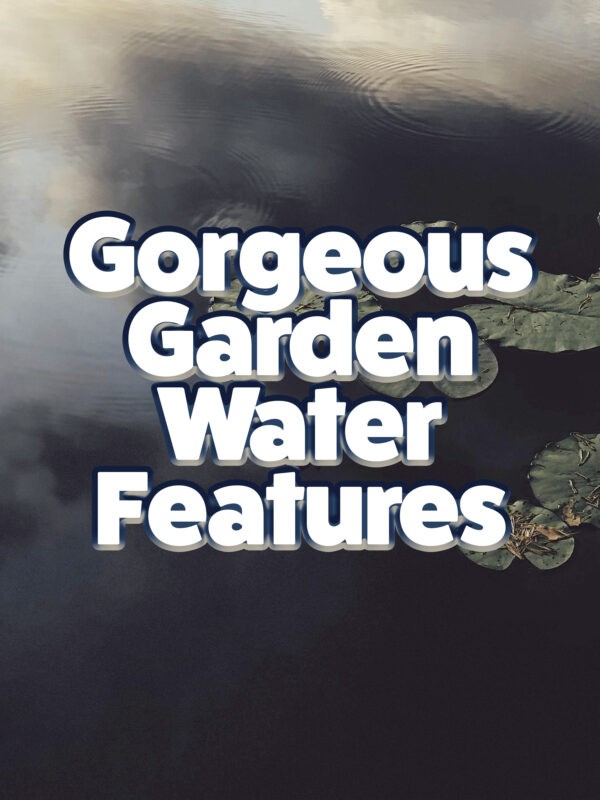 A picture of water lilies on a dark pond which is reflecting the clouds up above. The words 'Gorgeous Garden Water Features' is laid on top in white