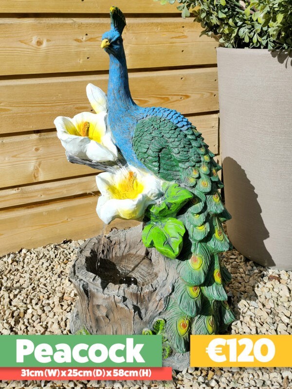The Peacock Water feature against a green and grey plant pot. The peacock is blue and green and it sits on white and yellow lillies from which the water pours out