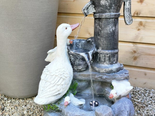 The quackers water feature. There is a large duck on the left and four duckings playing in a pool of water