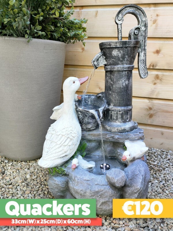 The quackers water feature. There is a large duck on the left and four duckings playing in a pool of water