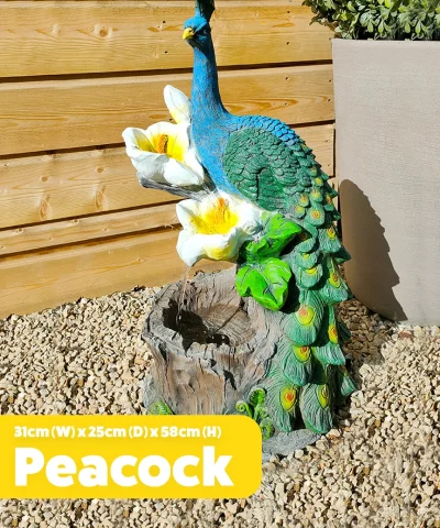 The peacock water feature