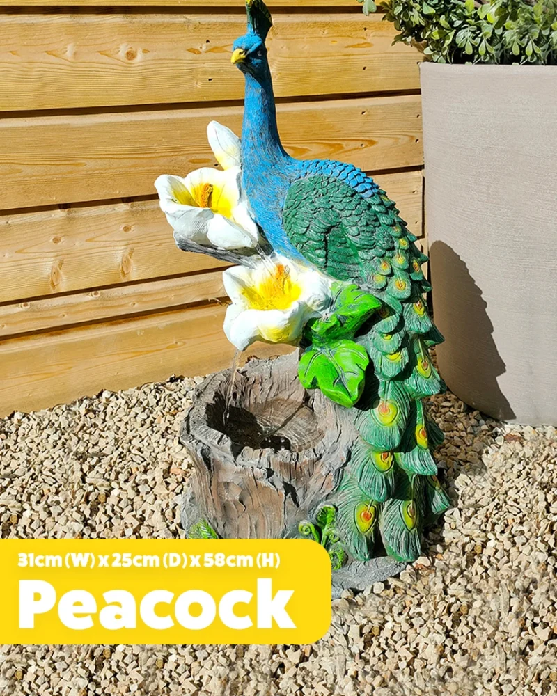 The peacock water feature