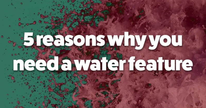 5 reasons why you need a water feature