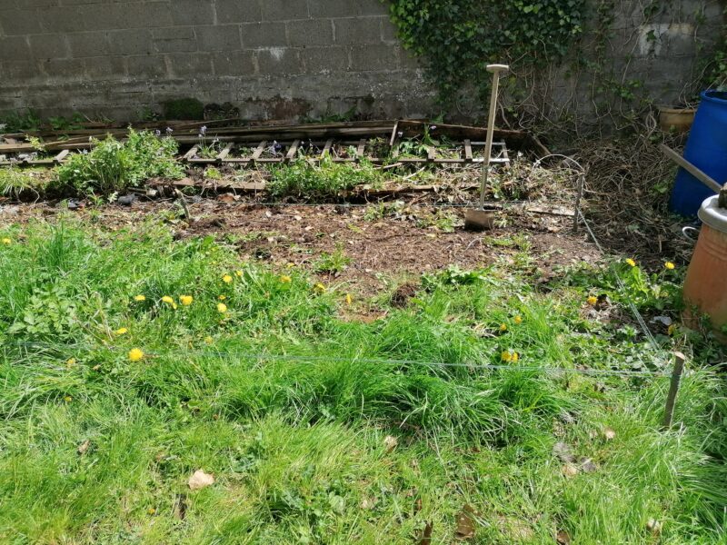 a patch of grass that has 4 stakes around it in a rectangle denoting this is the area that the shed will occupy. It's grassy and mucky and covered in weeds