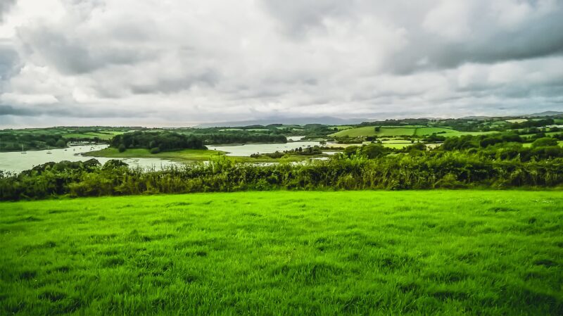 A beautiful field view in Offaly looking onto a lake in the background. 