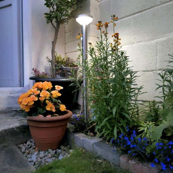 The Large Silver Garden Light in a flower bed beside a shed in a Dublin Garden