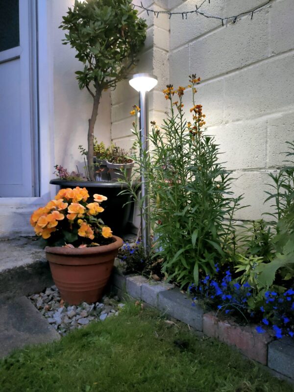 The Large Silver Garden Light in a flower bed beside a shed in a Dublin Garden