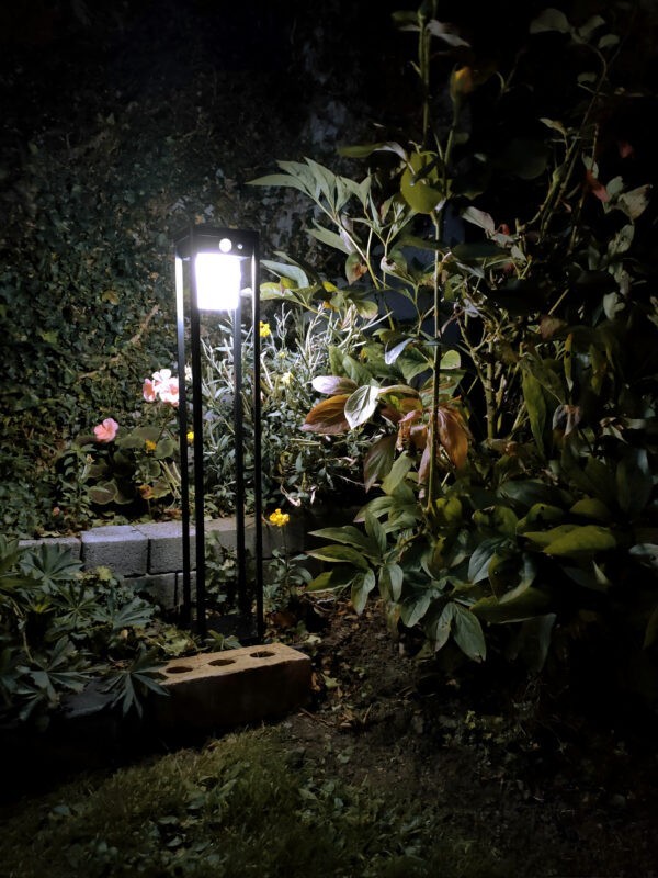 The 'black square' garden light seen in a dark garden. It is illuminating nearby plants, flowers and tree stumps. 