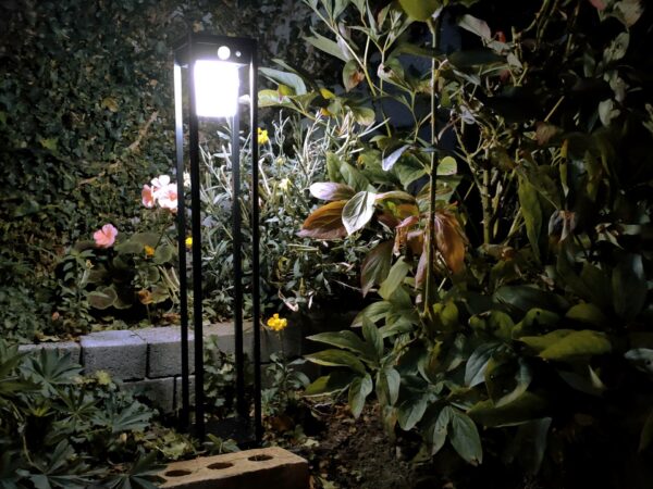The 'black square' garden light seen in a dark garden. It is illuminating nearby plants, flowers and tree stumps.
