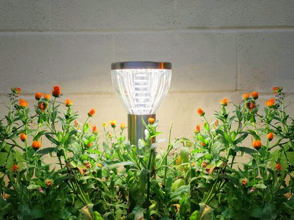 A single Garden Light in the centre of the portrait framed image. It is narrow at the bottom and wide at the top, expanding up in a convex design. The inside of the middle of it is glowing and illuminating the green plants below.