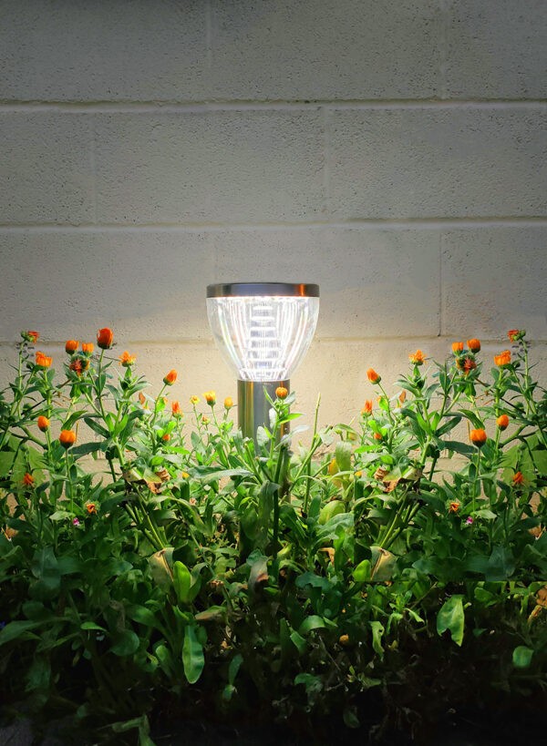 A single Garden Light in the centre of the portrait framed image. It is narrow at the bottom and wide at the top, expanding up in a convex design. The inside of the middle of it is glowing and illuminating the green plants below.