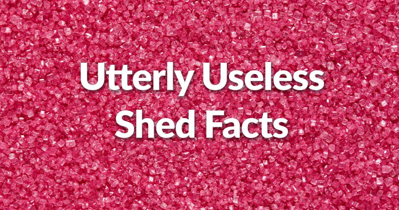 Pink microplastics packed tightly together and shimmering on carious different shades of pink with the words 'Utterly Useless Shed Facts' written on top