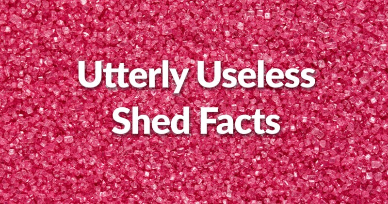 Pink microplastics packed tightly together and shimmering on carious different shades of pink with the words 'Utterly Useless Shed Facts' written on top