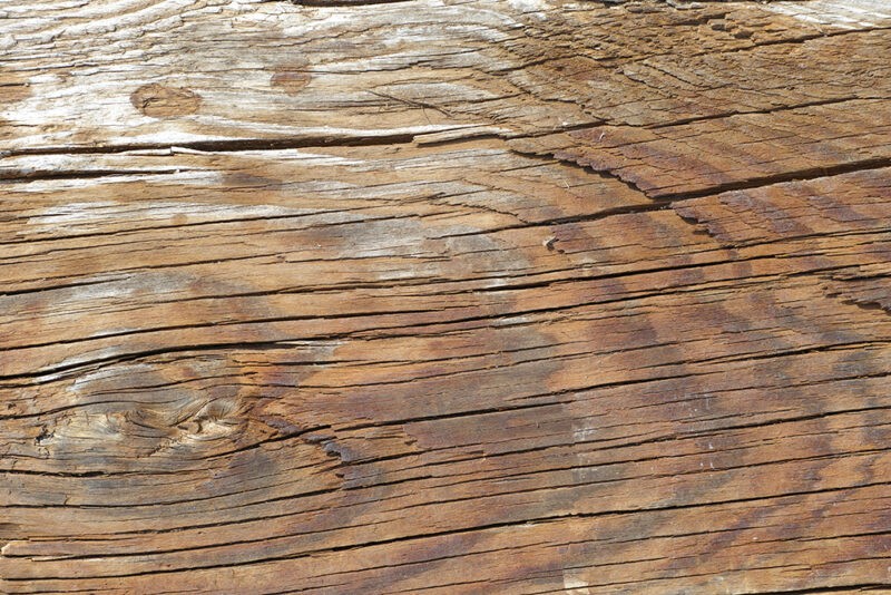 A macro photo of some Warped Timber