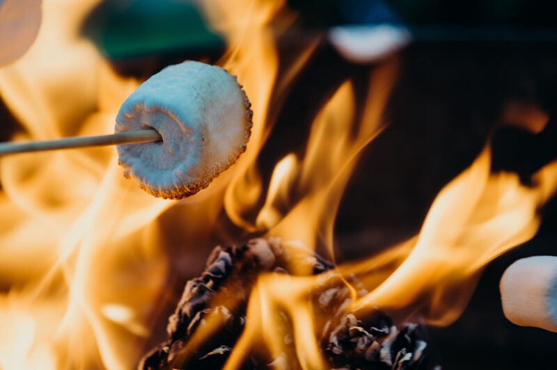 Marshmallows being toasted on a firepit