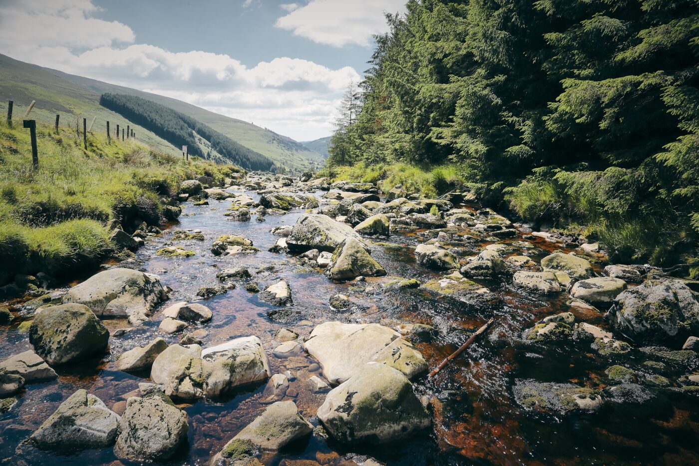 Wicklow Mountains