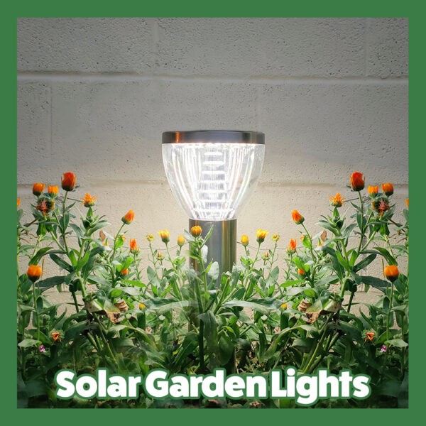 Solar Garden Lights
