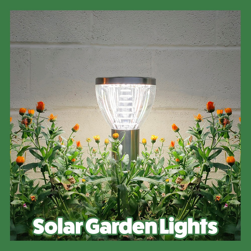 Solar Garden Lights