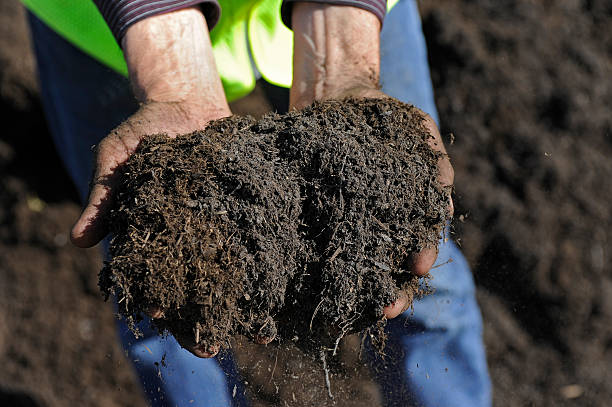 Man holding fresh compost 