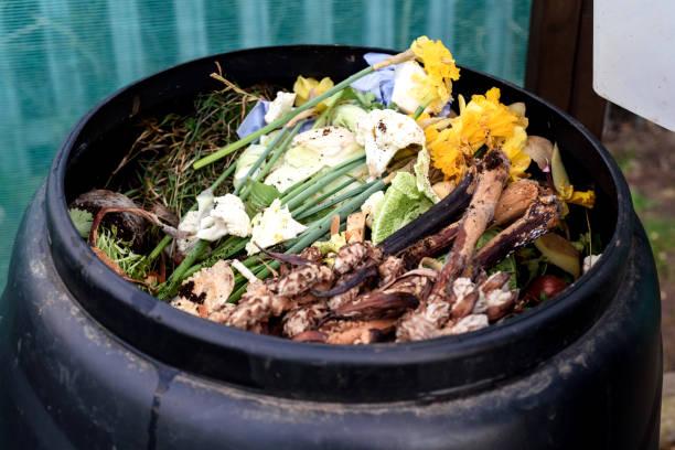 Everyday garden compost bin popular with many gardeners as a way to recycle kitchen waste