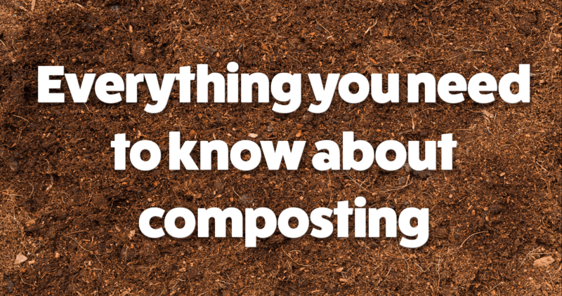 Everything you need to know about composting
