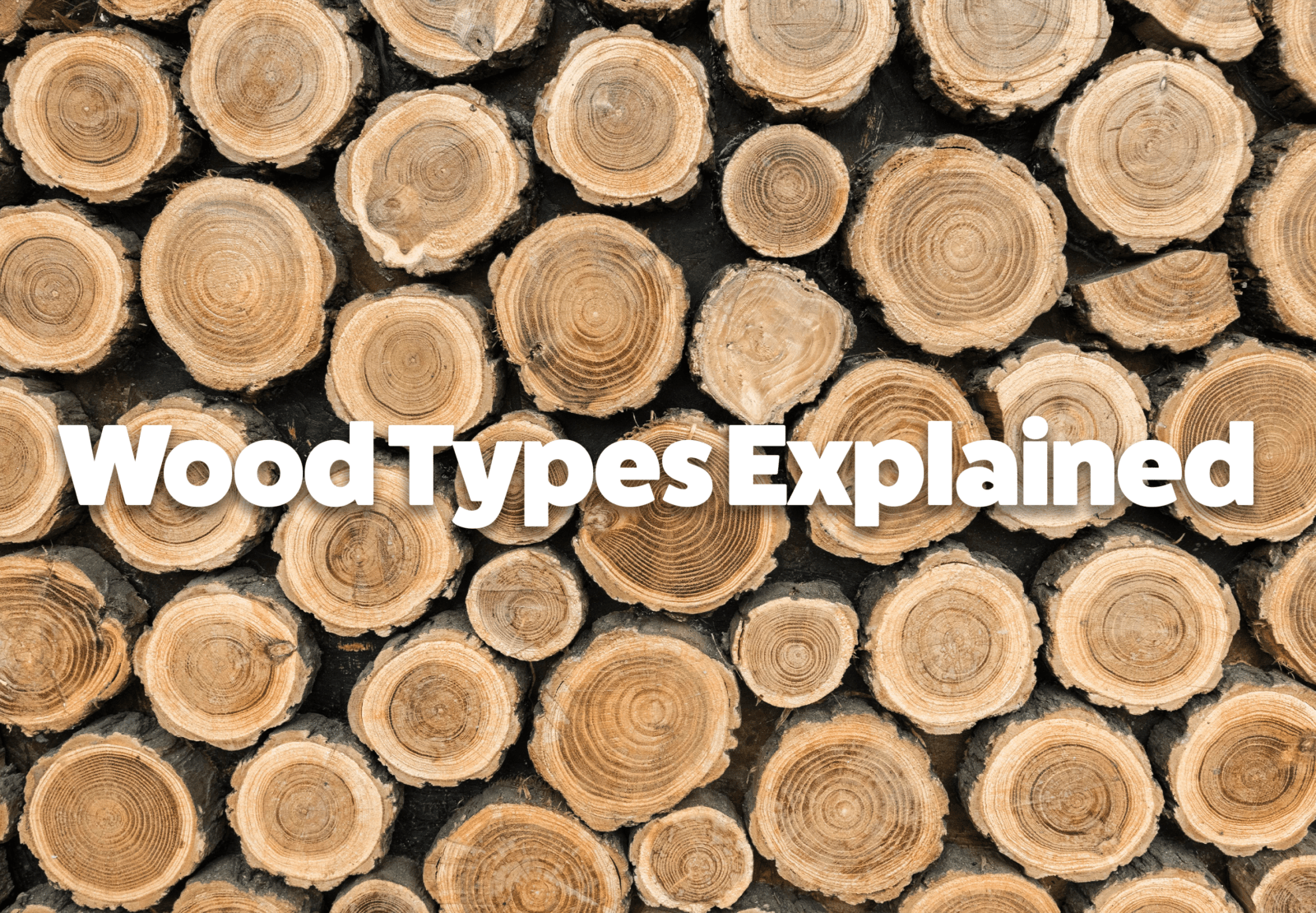 A picture of the short-end of cut pieces of timber with the words 'wood types explained' written on top