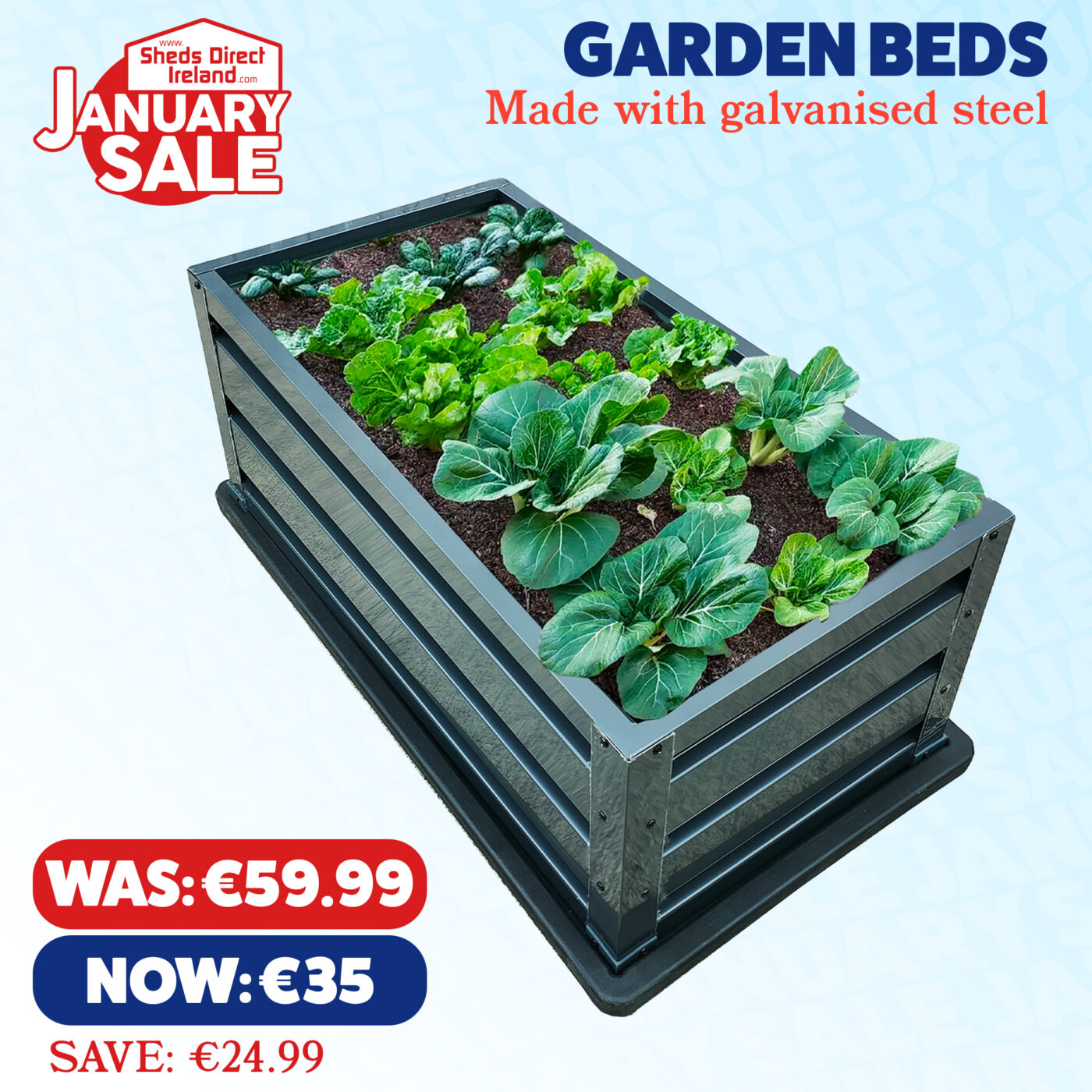 January Sale - Garden Bed