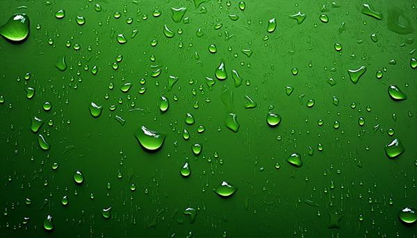 Condensation on a green metal panel