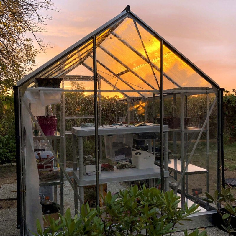 Greenhouse: The Serre - Image 6