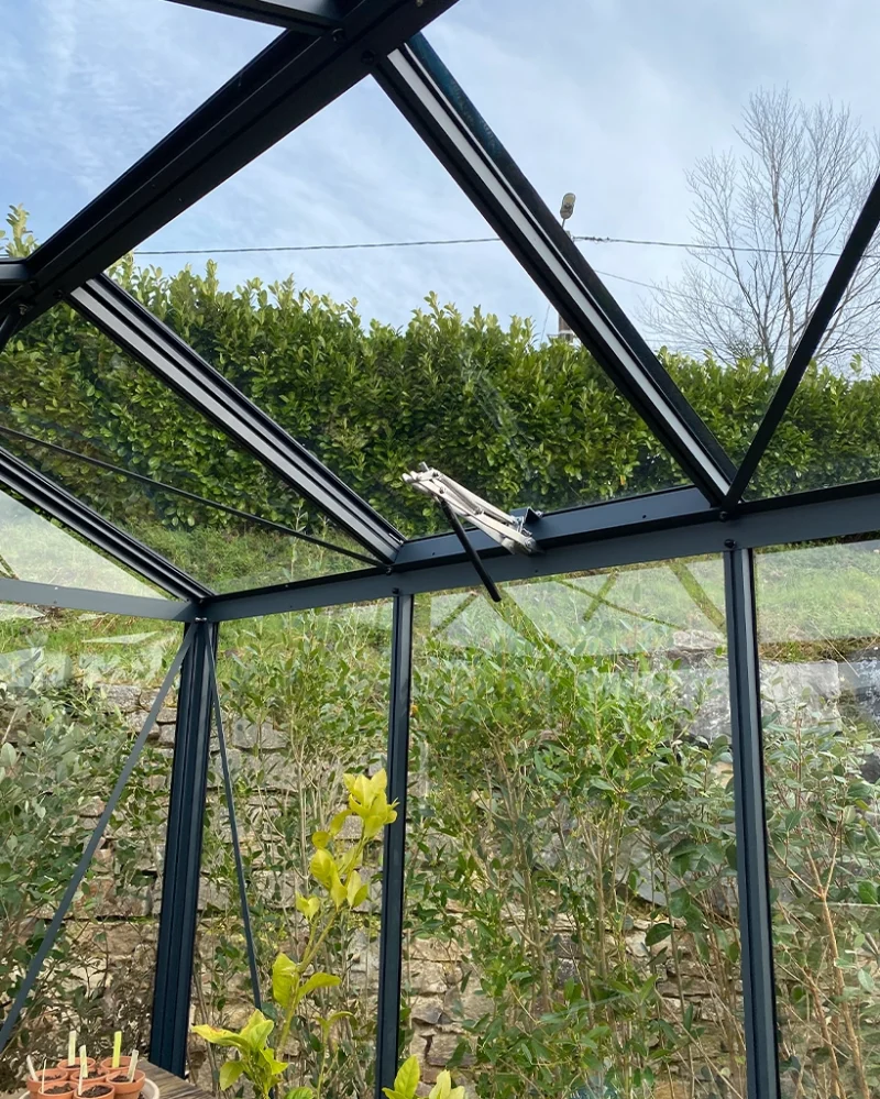 The inside view of the window