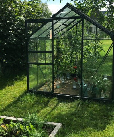 Green Glasshouse