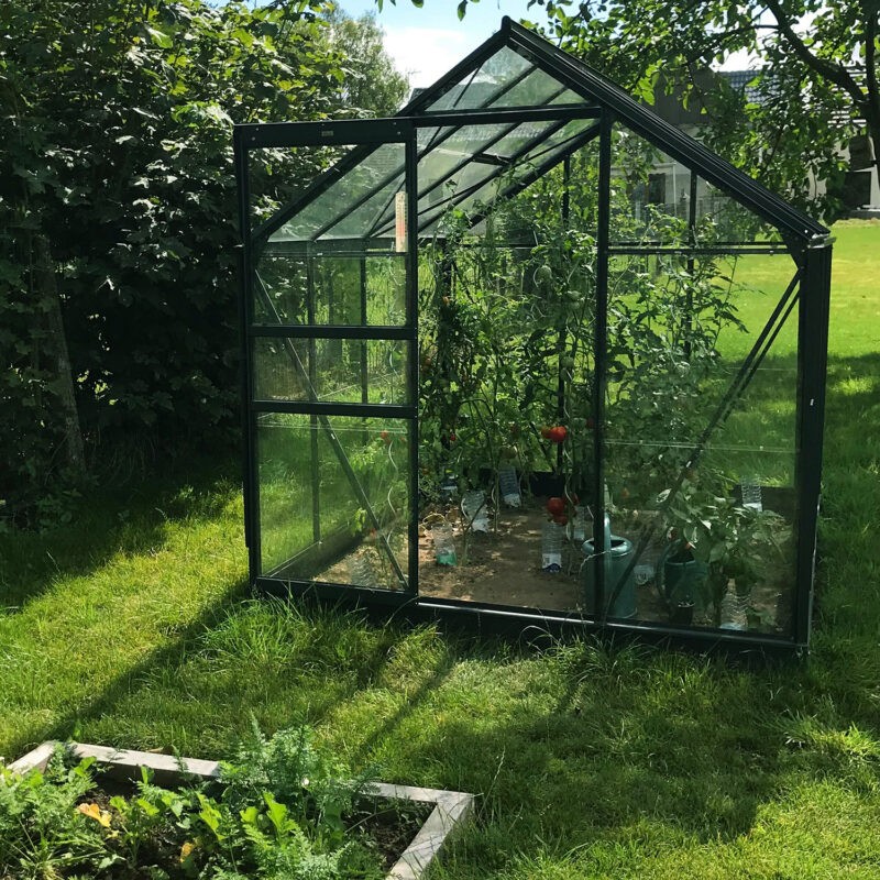 Green Glasshouse