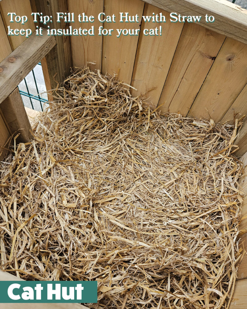 tip: fill the cat hut with straw to keep it warm for your cat