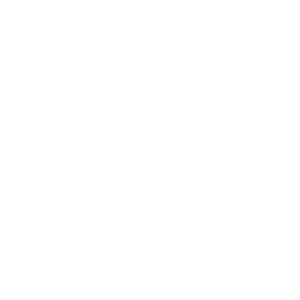 The retail excellence Ireland logo