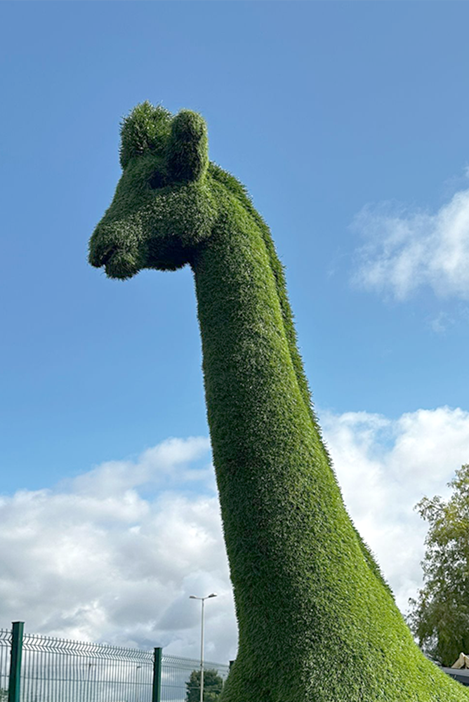 Grassy Giraffe at the sheds direct ireland naas road showroom