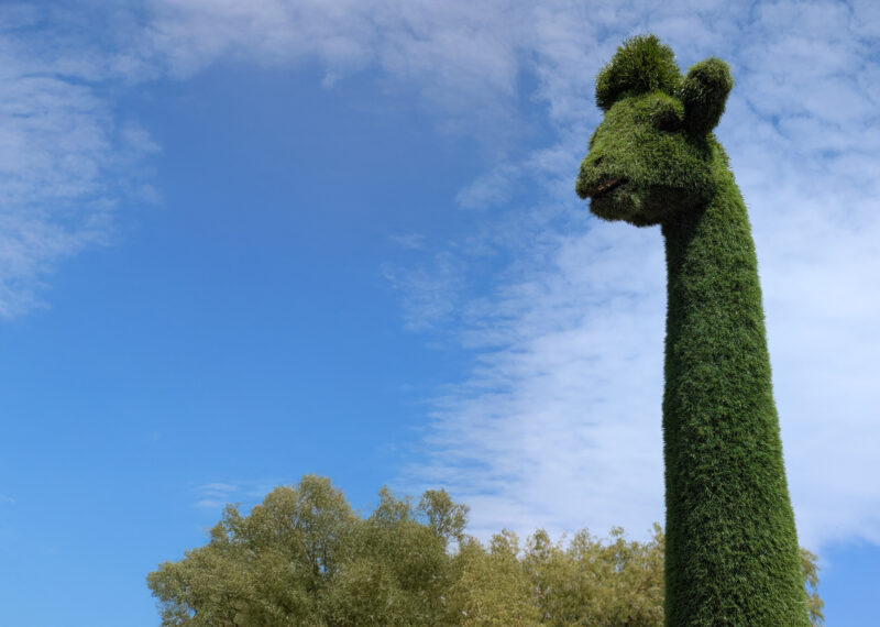 Griffy the giraffe on the N7