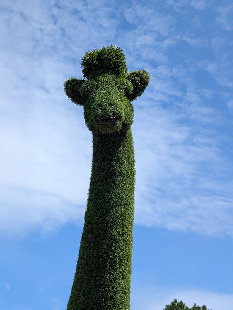 Griffy the Naas Road Giraffe