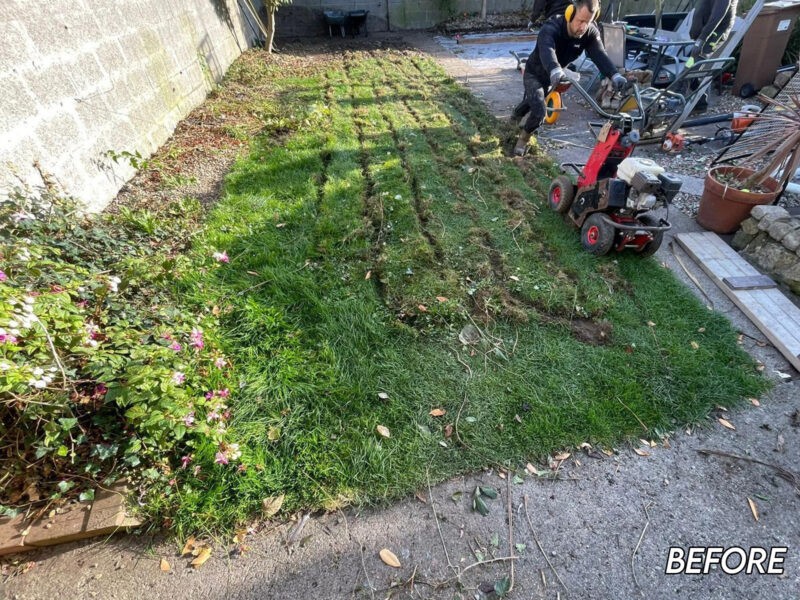 Before the Artificial Grass was installed