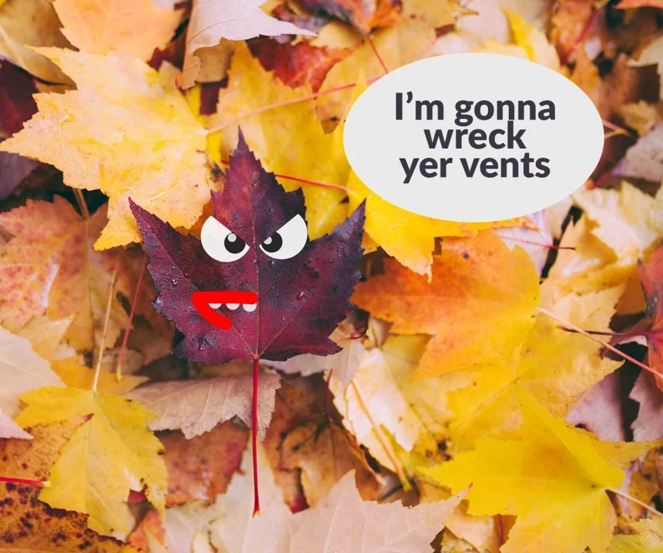 A picture of an animated leaf who is angry. The leaf is a shade of purple and he has angry eyes and large red lips with sharp teeth. He is saying 'I'm going to wreck yer vents'