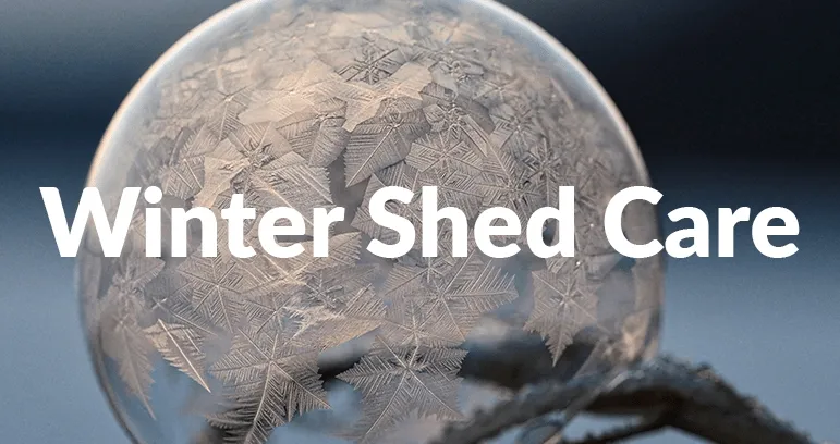 A picture of a orange-tinted frozen bubble, sitting in a branch with the words 'Winter Shed Care' emblazoned across it.